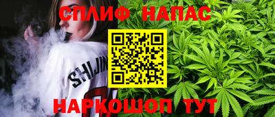 прущие грибы Апрелевка