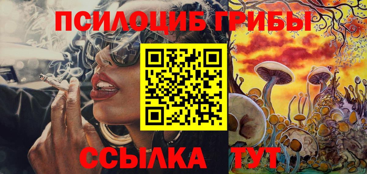 Псилоцибиновые грибы Psilocybine cubensis Верхняя Пышма
