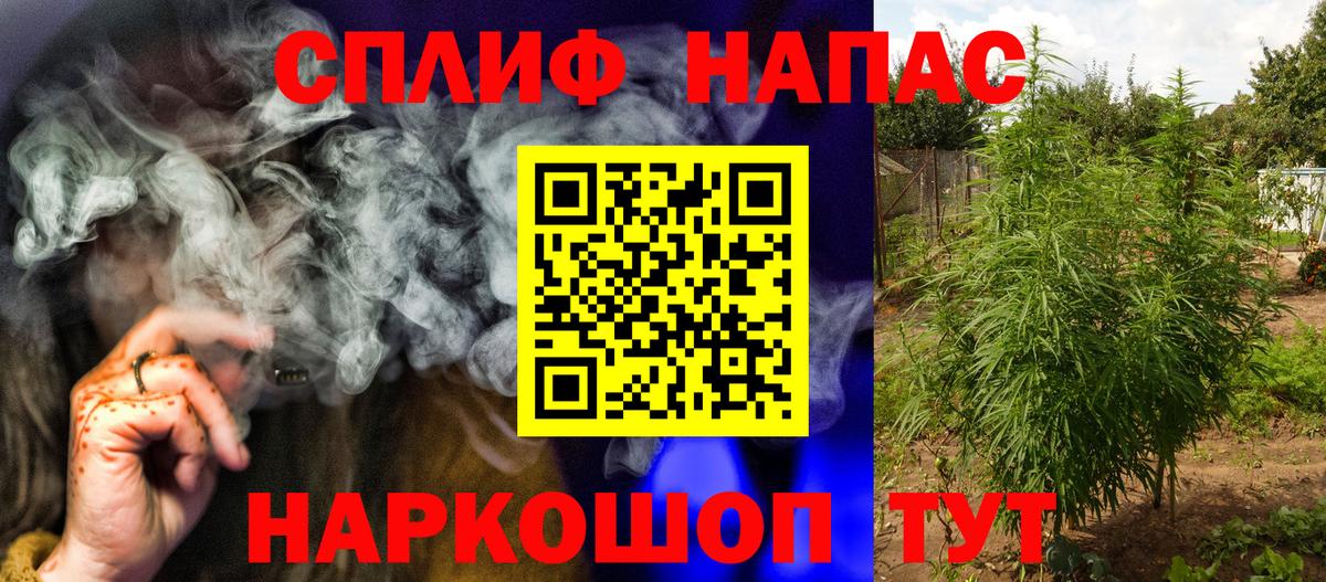 Бошки Шишки гибрид Верхняя Пышма